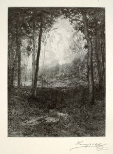 Negli Adirondack da Henry Wolf