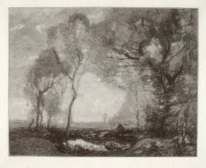 Paesaggio da Henry Wolf