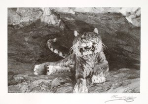 Tigre da Henry Wolf