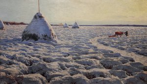 Paludi lituane sotto la neve.