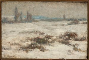 Paesaggio invernale