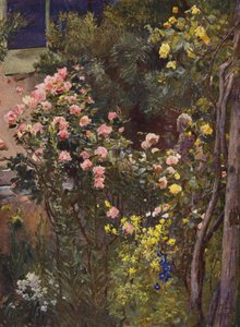 In un giardino di rose, Catherine Mermet e Marechal Niel a casa da Herbert Arnould Olivier
