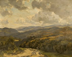 Colline gallesi vicino a Barmouth