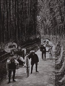 Un Viale di Bambù a Kyoto da Herbert Ponting