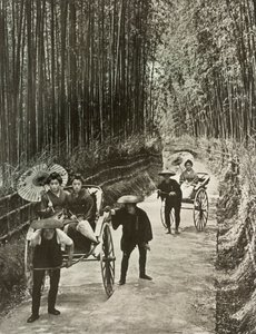Un viale di bambù a Kyoto da Herbert Ponting