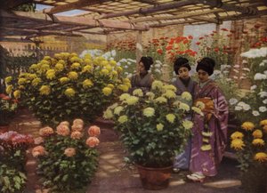 Alla mostra dei crisantemi da Herbert Ponting