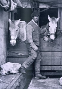 Cap. Oates e due dei pony sulla Terra Nova, da 