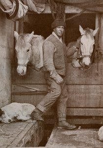 Capitano Oates e Pony sulla Terra Nova, c1910-1912