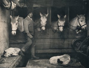 Capitano Oates sulla Terra Nova con i pony siberiani