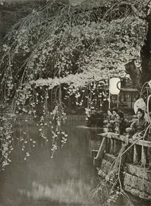 Tempo di fioritura dei ciliegi in Giappone, 1910 da Herbert Ponting