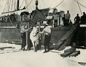 Sbarco dei pony, c1910-1913, 1913 da Herbert Ponting