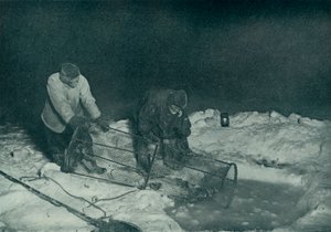 Dr. Atkinson e Clissold che tirano su la trappola per pesci, 28 maggio 1911, 1913 da Herbert Ponting