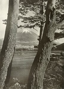 Il Monte Fuji attraverso i pini del Lago Motosu, 1910 da Herbert Ponting