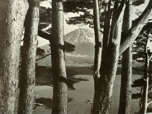 Il Fuji e i pini
