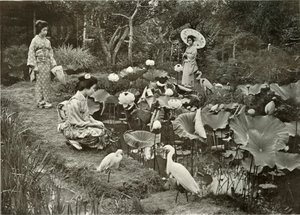 Nella Terra dei Loti, 1910