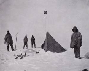 "Era una bandiera nera, la bandiera norvegese. Amundsen fu il primo al polo" da Herbert Ponting