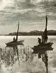 Sulla baia di Tokyo, 1910 da Herbert Ponting