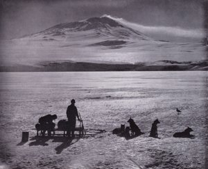Slitta e cani, con il Monte Erebus sullo sfondo da Herbert Ponting