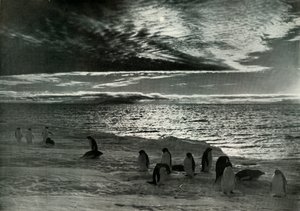 Il Sole di Mezzanotte nel McMurdo Sound, c1910-1913, 1913