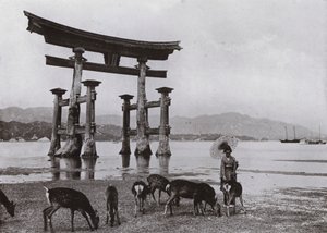 Il vecchio Torii a Miyajima da Herbert Ponting