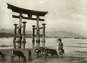 Il Vecchio Torii a Miyajima