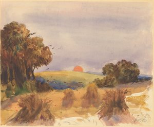 Un campo di grano al tramonto
