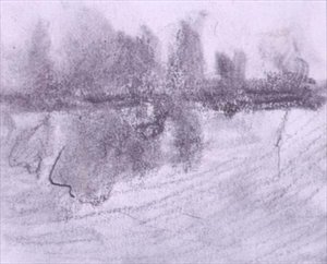 Un gruppo di alberi riflessi nell