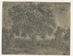 Il Grande Albero da Hercules Segers