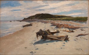 Cape Cod, Spiaggia da Herman Hartwich