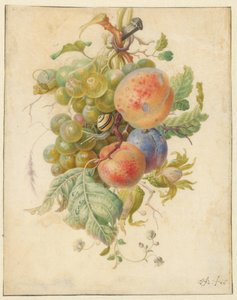 Festone di frutti da Herman Henstenburgh