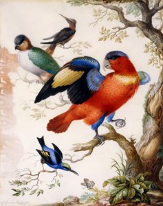 Quattro uccelli nel bosco da Herman Henstenburgh