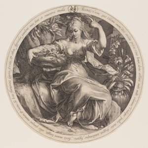 Flora