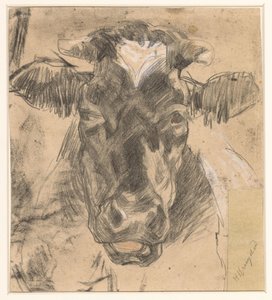Testa di una mucca da Herman Kruyder