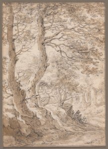 Interno di una foresta, con figura seduta da Herman Saftleven