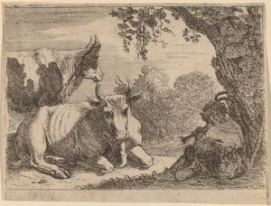 Mucche da Herman van Swanevelt