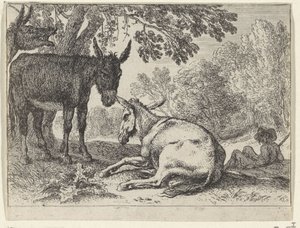 Asini da Herman van Swanevelt