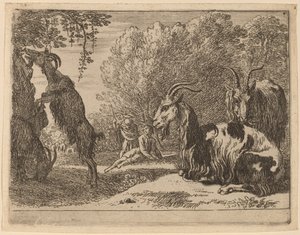Capre da Herman van Swanevelt