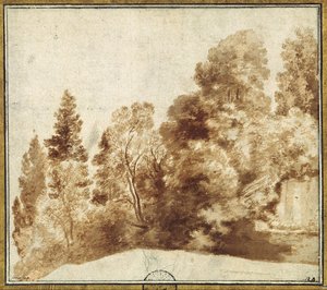 Gruppo di alberi presso un muro