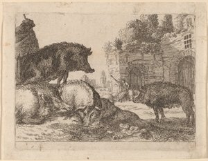 Maiali da Herman van Swanevelt