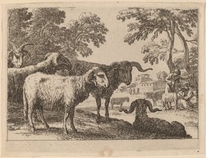 Arieti da Herman van Swanevelt