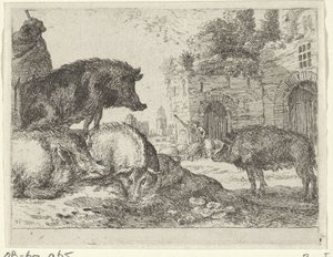 Maiali da Herman van Swanevelt