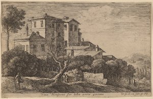 Vista del Vigneto della Villa Mamsrona