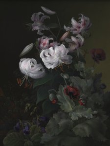  da Hermania Sigvardine Neergaard