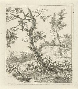 Paesaggio con pastore su una collina da Hermanus Fock