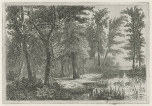 Paesaggio boschivo con uno stagno con anatre da Hermanus Jan Hendrik van Rijkelijkhuysen