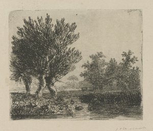 Tre salici lungo una riva