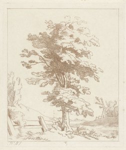 Albero in un paesaggio da Hermanus Numan