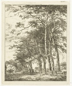 Due figure in piedi vicino ad alberi alti