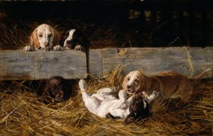 Cuccioli che giocano da Hermine Biedermann Arendt