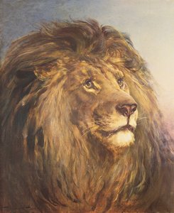 Testa di leone